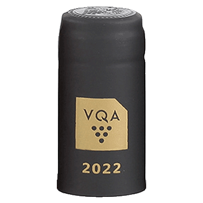 WSC-01